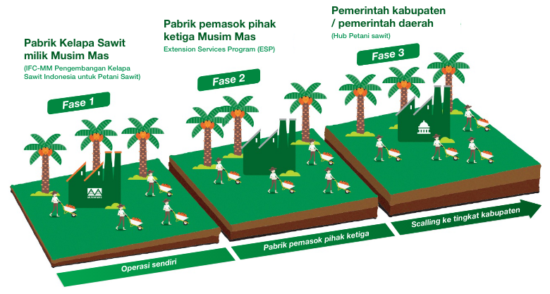 Petani Kelapa Sawit Musim Mas