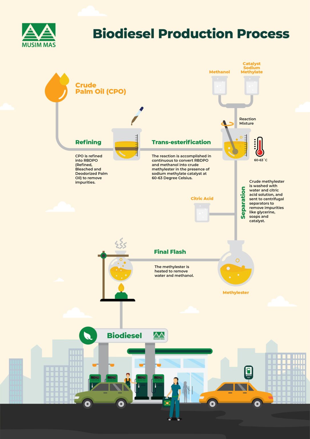 How Is Palm Oil Made Into Biodiesel? - Musim Mas