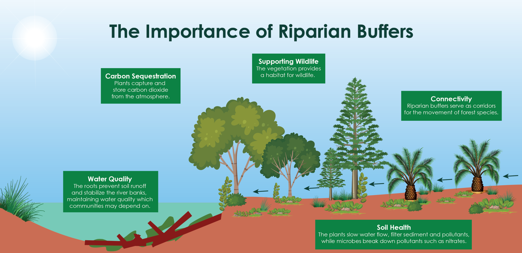 how-do-riparian-buffers-protect-the-environment-musim-mas