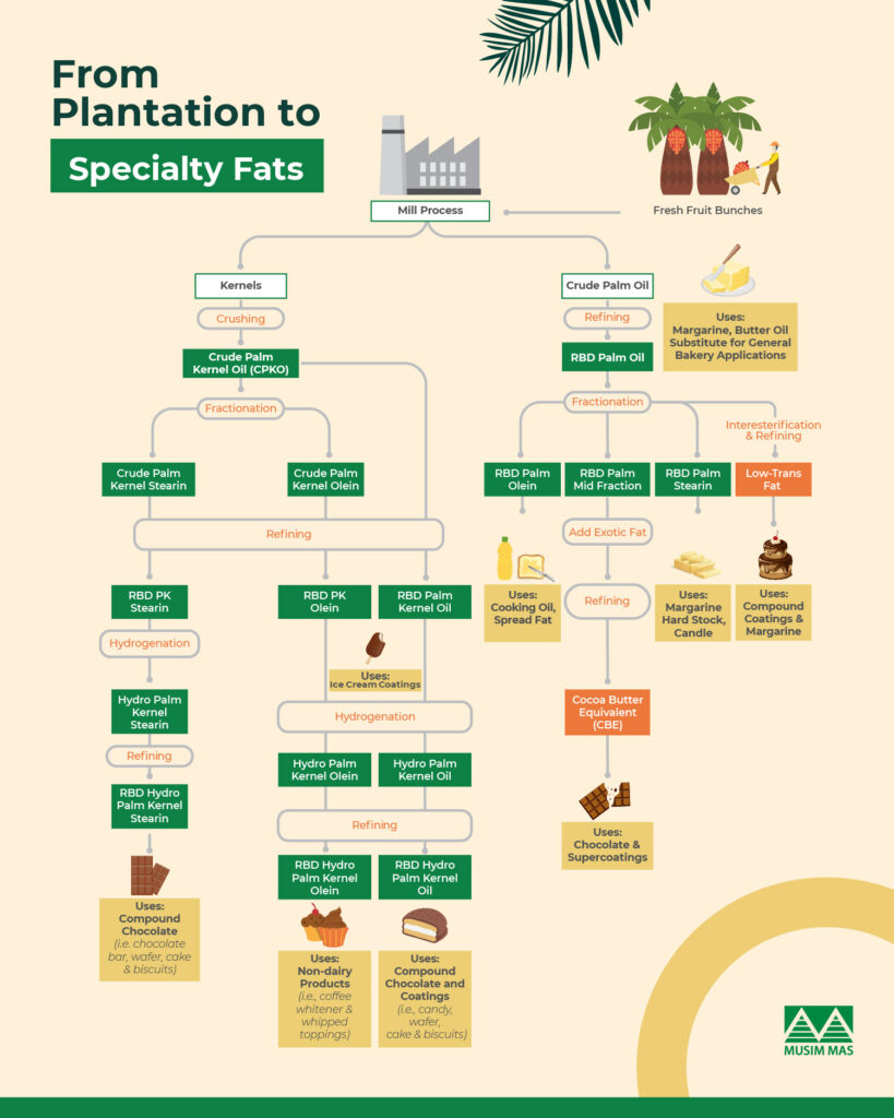 Innovations in Bread-Making: Made Possible with the Right Fats - Musim Mas