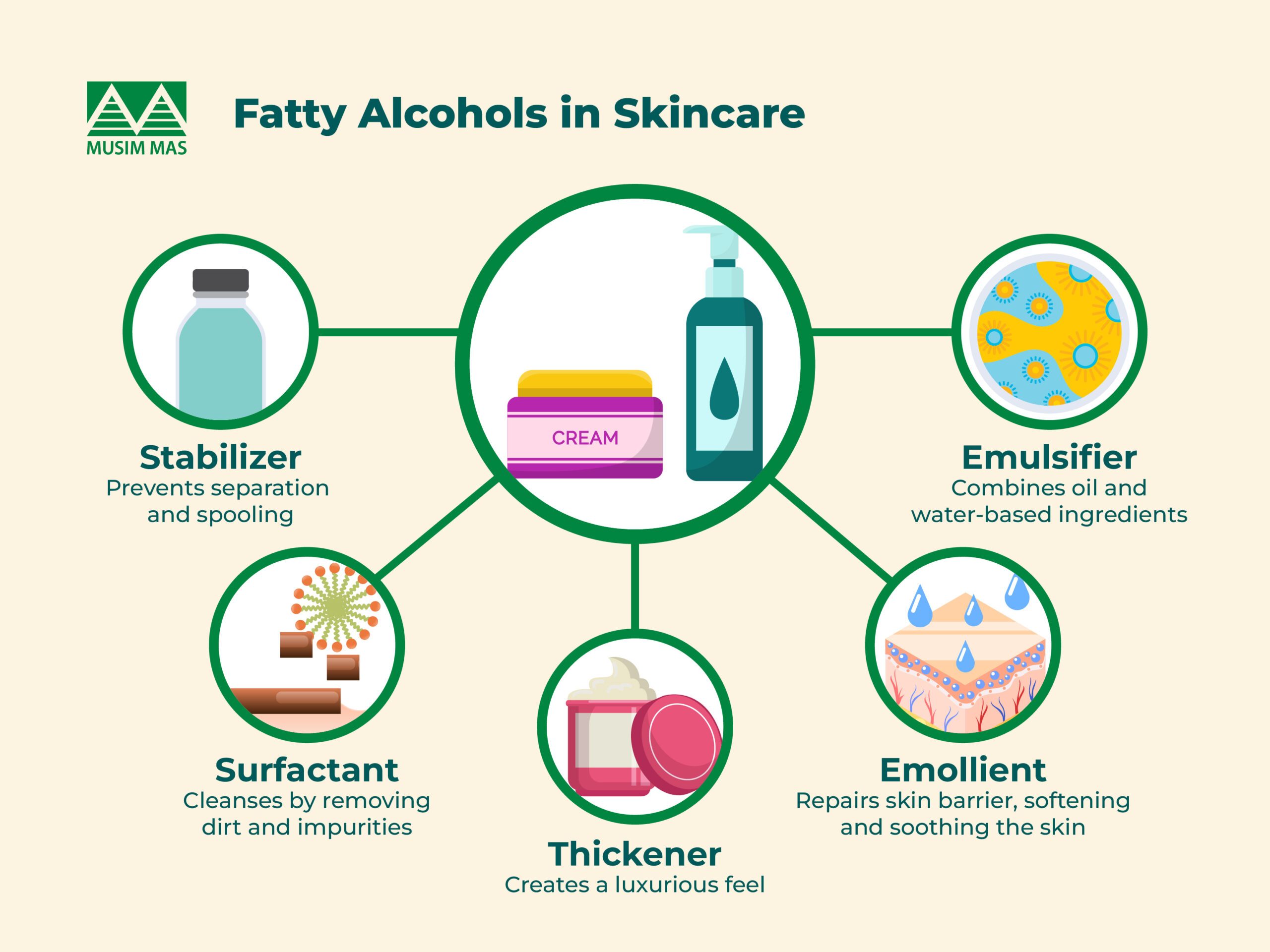 Applications of fatty alcohols in skincare