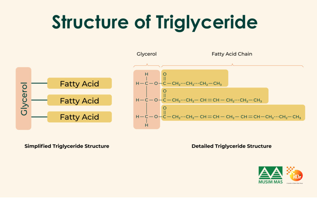 Palm oil triglyceride chemical structure formula