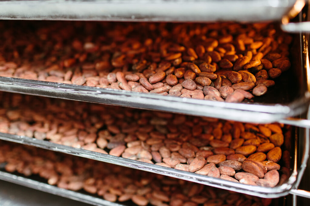 beans are sorted and checked for quality at the factory