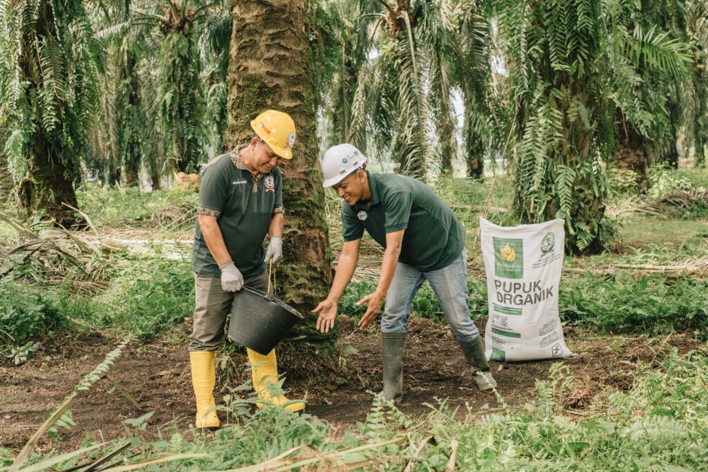 Smallholders applying home-based compost 