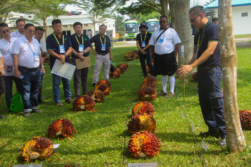 Driving Innovation in the Palm Oil Sector: Estate & Research Field Day 2024