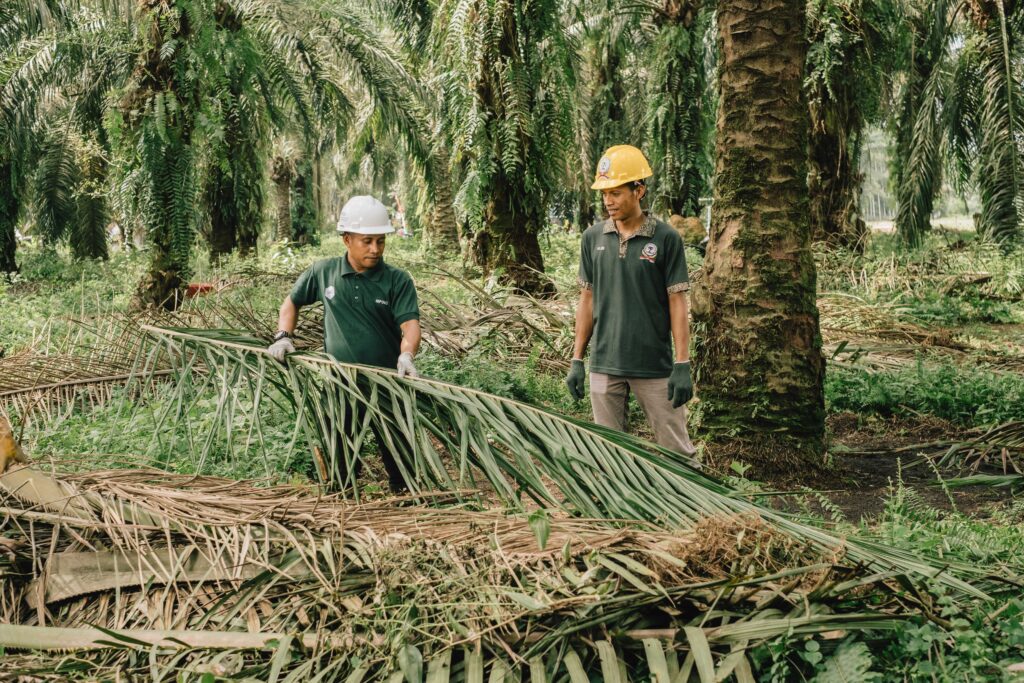 mulching sustainable farming