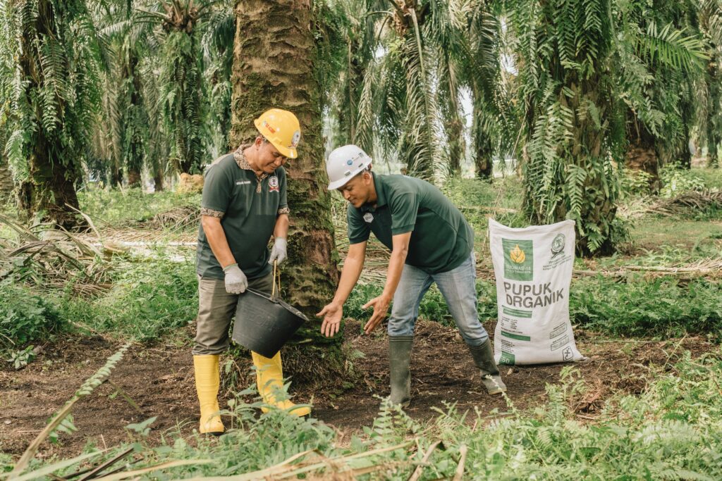 organic fertilizer palm oil