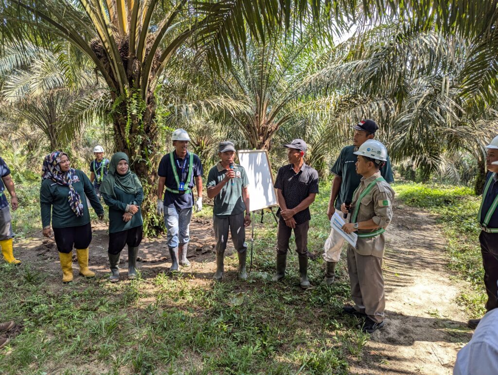 regenerative agriculture training palm oil