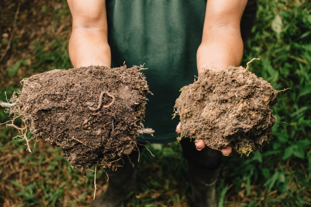 soil health check