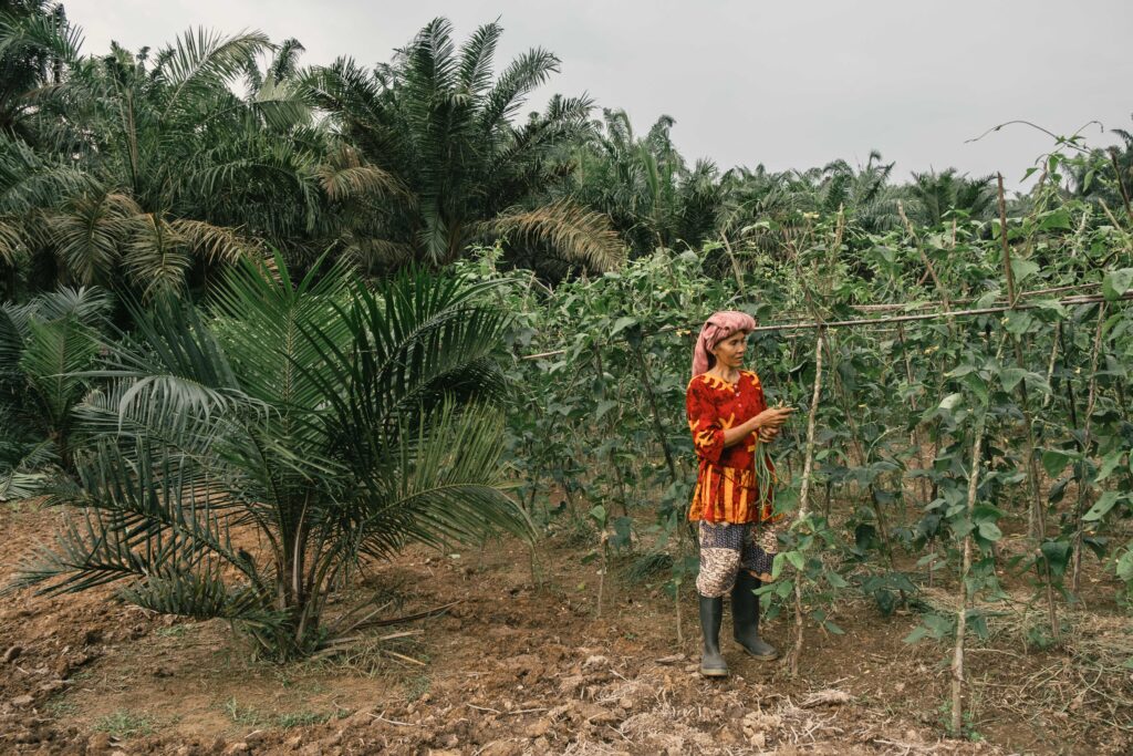 women smallholders