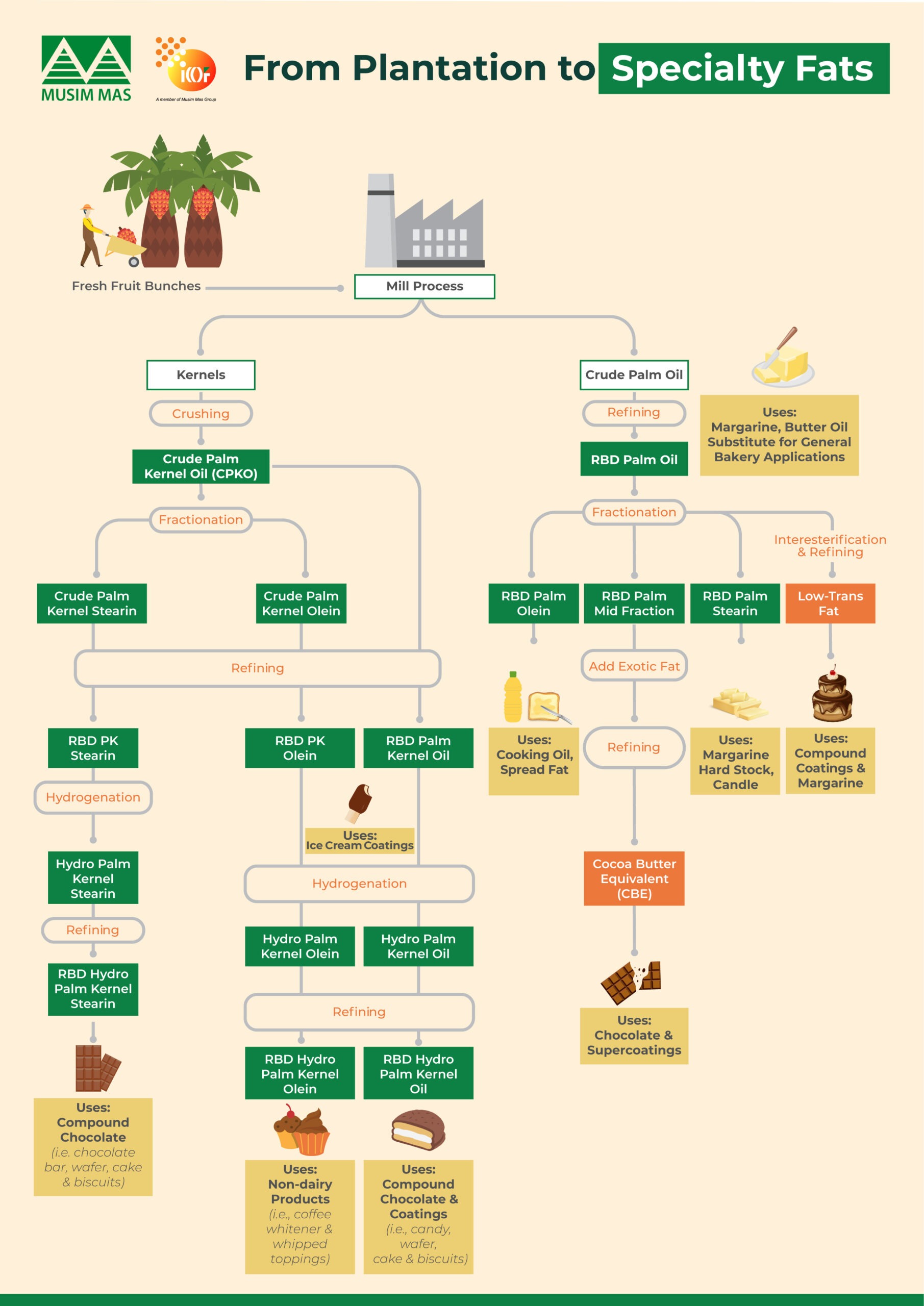 How are specialty fats made